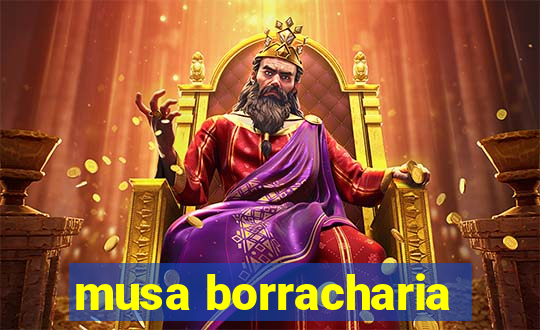 musa borracharia